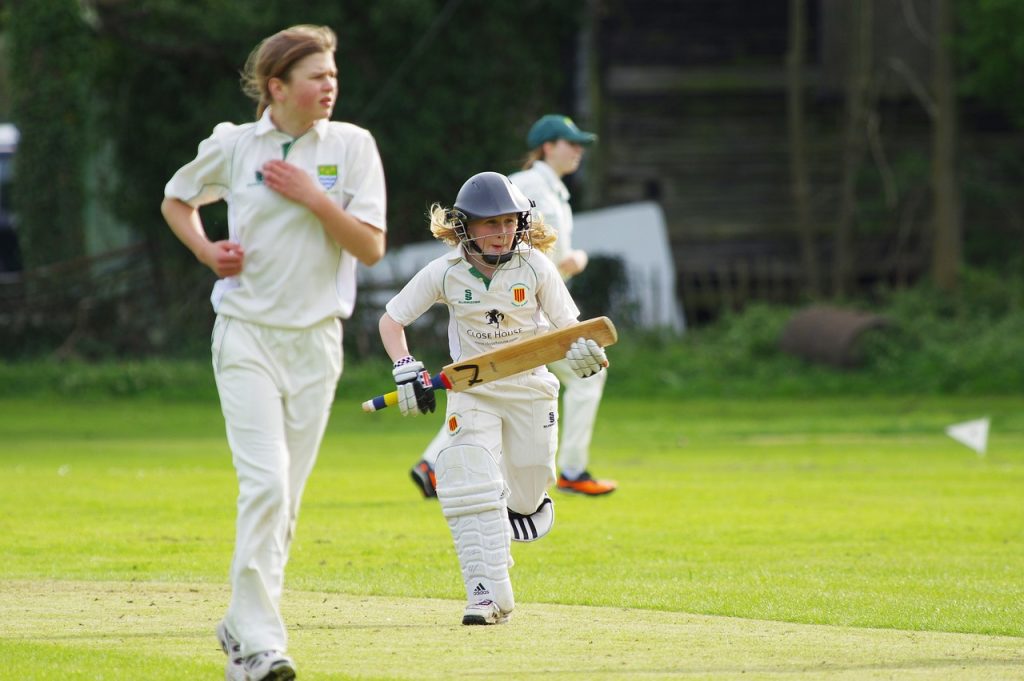 Cricket match in progress