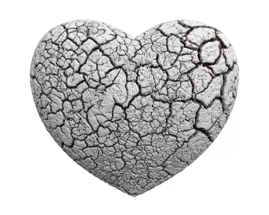 stone heart of resilience